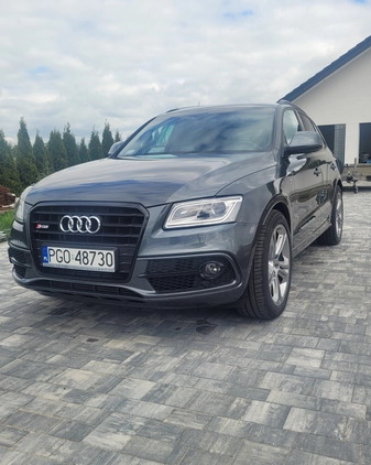 Audi SQ5 cena 89999 przebieg: 175376, rok produkcji 2014 z Szczebrzeszyn małe 172